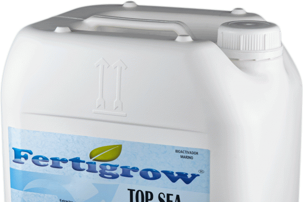 TopSea (Env. 20L)